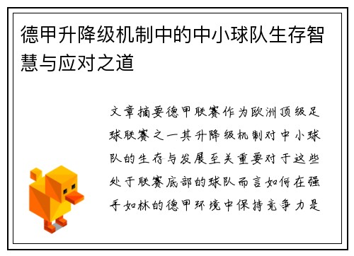 德甲升降级机制中的中小球队生存智慧与应对之道