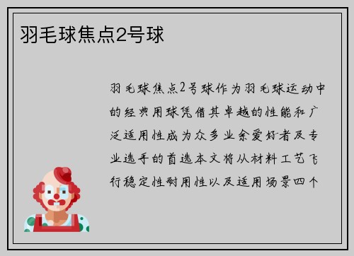 羽毛球焦点2号球