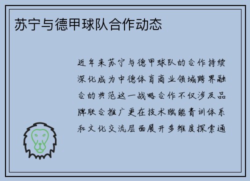 苏宁与德甲球队合作动态